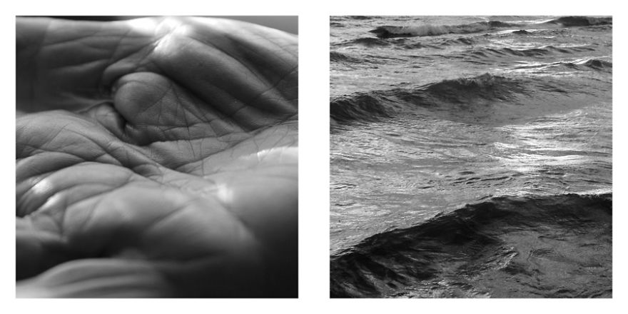 The Life Cycles Of Humans Through The Prism Of The Four Elements The Life Cycles Of Humans Through The Prism Of The Four Elements