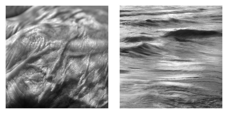 The Life Cycles Of Humans Through The Prism Of The Four Elements The Life Cycles Of Humans Through The Prism Of The Four Elements