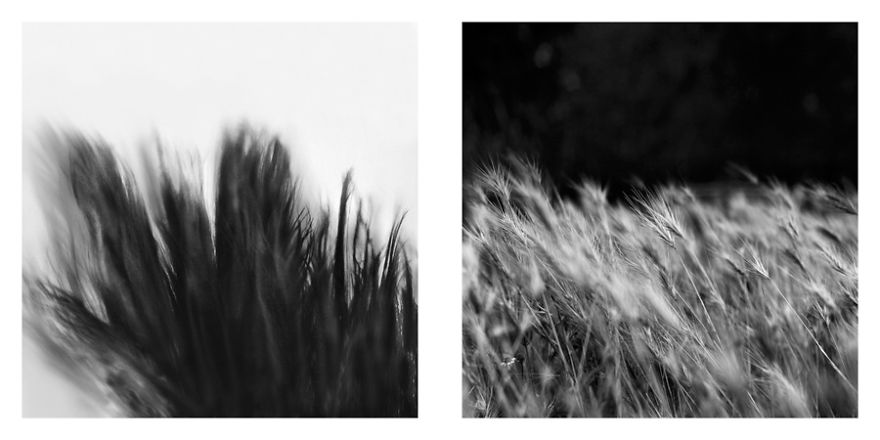 The Life Cycles Of Humans Through The Prism Of The Four Elements The Life Cycles Of Humans Through The Prism Of The Four Elements