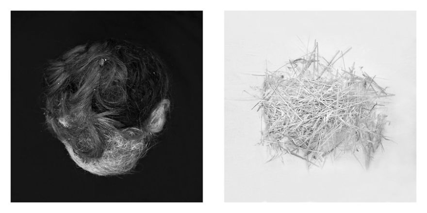 The Life Cycles Of Humans Through The Prism Of The Four Elements The Life Cycles Of Humans Through The Prism Of The Four Elements