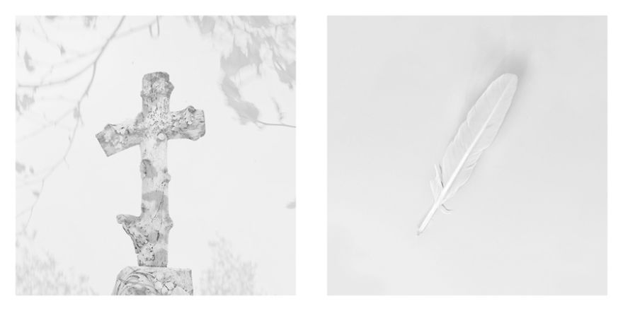 The Life Cycles Of Humans Through The Prism Of The Four Elements