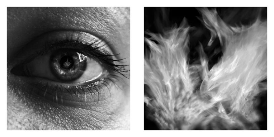 The Life Cycles Of Humans Through The Prism Of The Four Elements The Life Cycles Of Humans Through The Prism Of The Four Elements