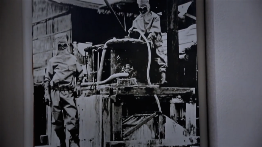 My Friend And I Documented An Island Full Of Bunnies And Poison Gas Factory Relics