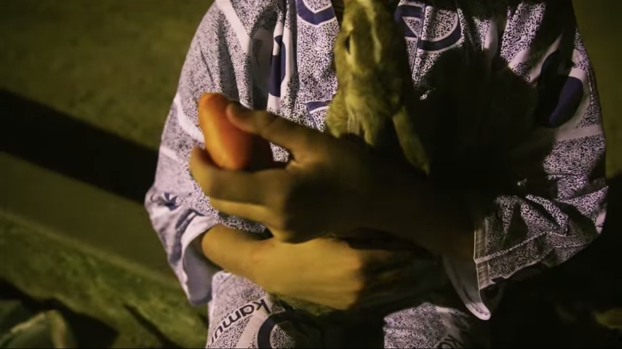 My Friend And I Documented An Island Full Of Bunnies And Poison Gas Factory Relics