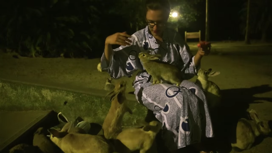 My Friend And I Documented An Island Full Of Bunnies And Poison Gas Factory Relics My Friend And I Documented An Island Full Of Bunnies And Poison Gas Factory Relics