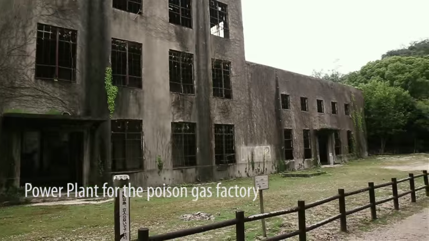 My Friend And I Documented An Island Full Of Bunnies And Poison Gas Factory Relics My Friend And I Documented An Island Full Of Bunnies And Poison Gas Factory Relics