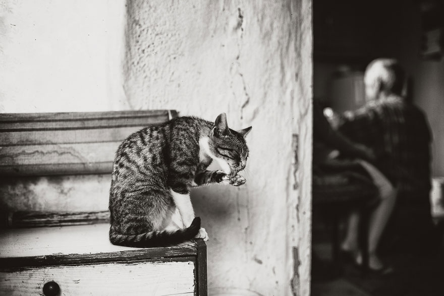 children-photography-summertime-izabela-urbaniak-23 children-photography-summertime-izabela-urbaniak-23