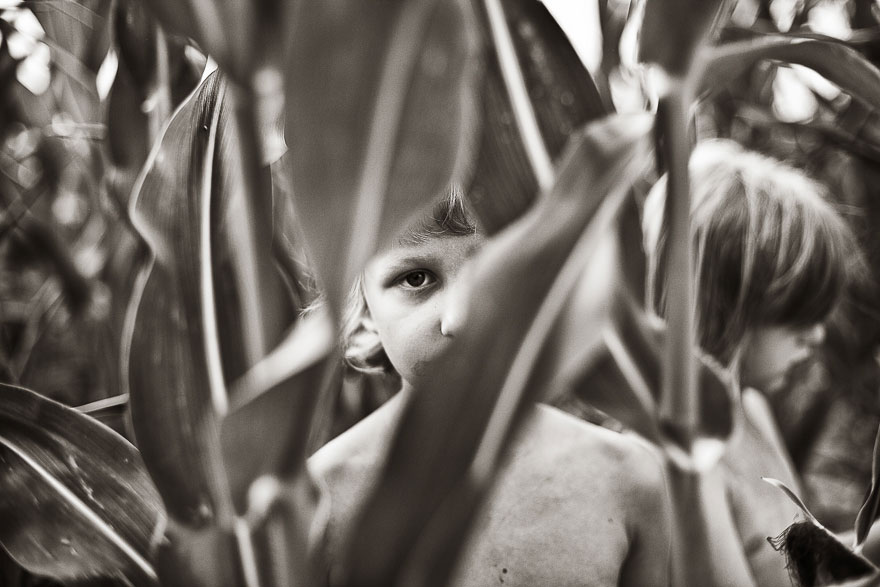 children-photography-summertime-izabela-urbaniak-28 children-photography-summertime-izabela-urbaniak-28