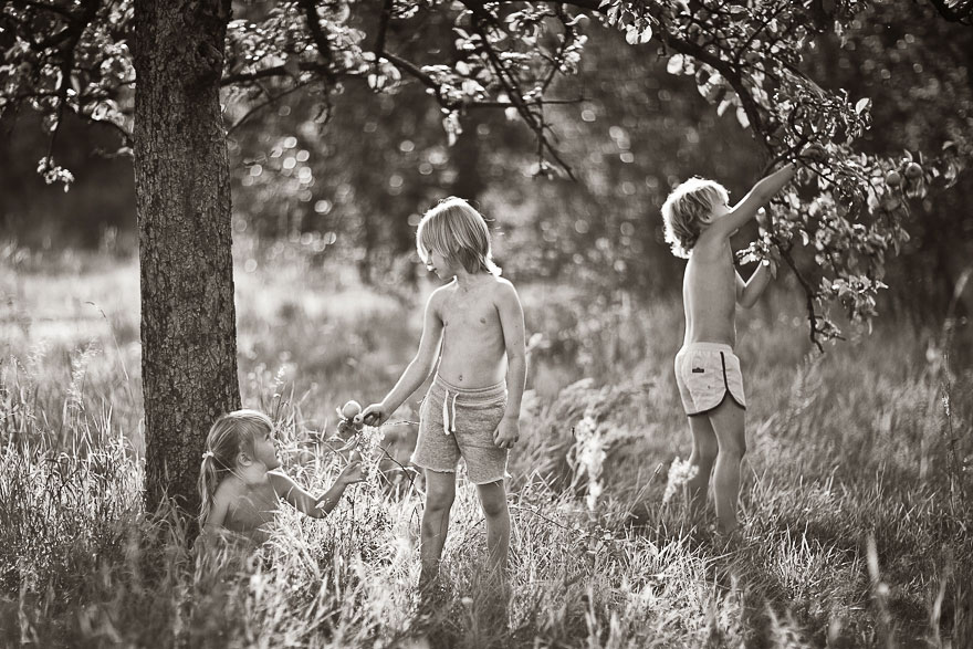 children-photography-summertime-izabela-urbaniak-5 children-photography-summertime-izabela-urbaniak-5