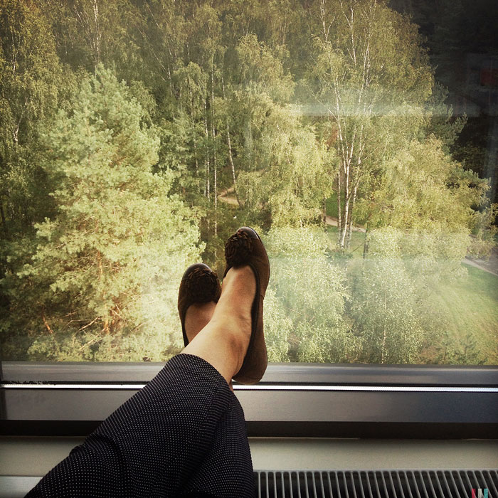 View Through My Window At Work