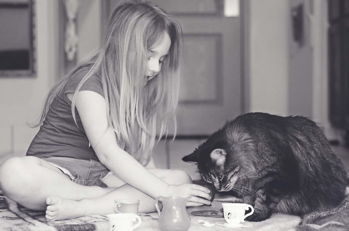 True Love And Companionship