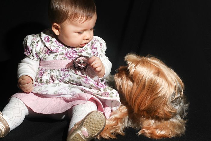 A Conversa Sem Palavras...