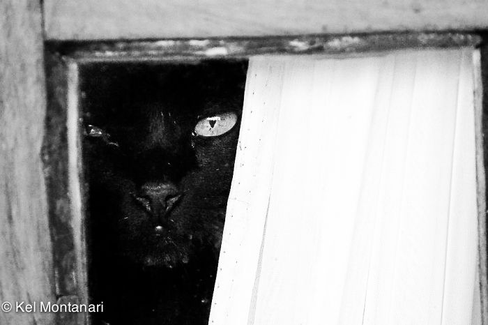 Espiando Pela Janela