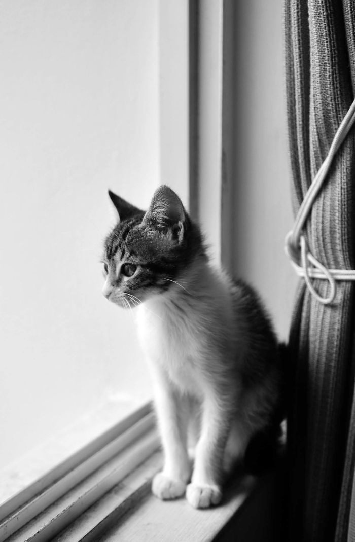 Balita - Renzo Babilonia