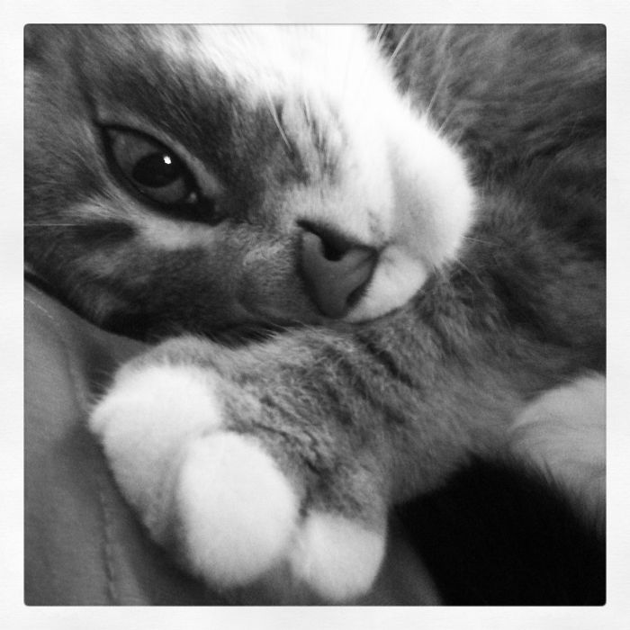 Xena In Black And White.