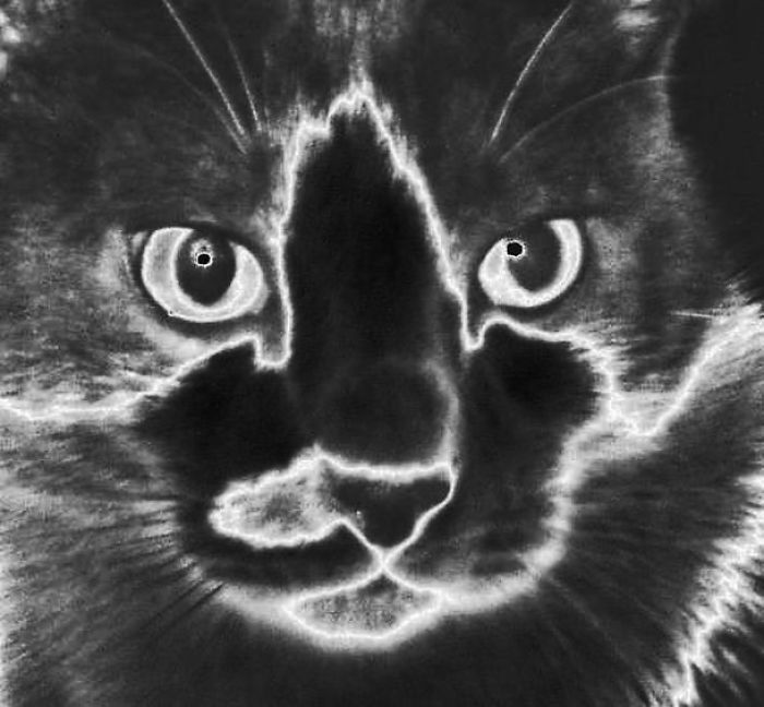 From The Other Side Of The Veil