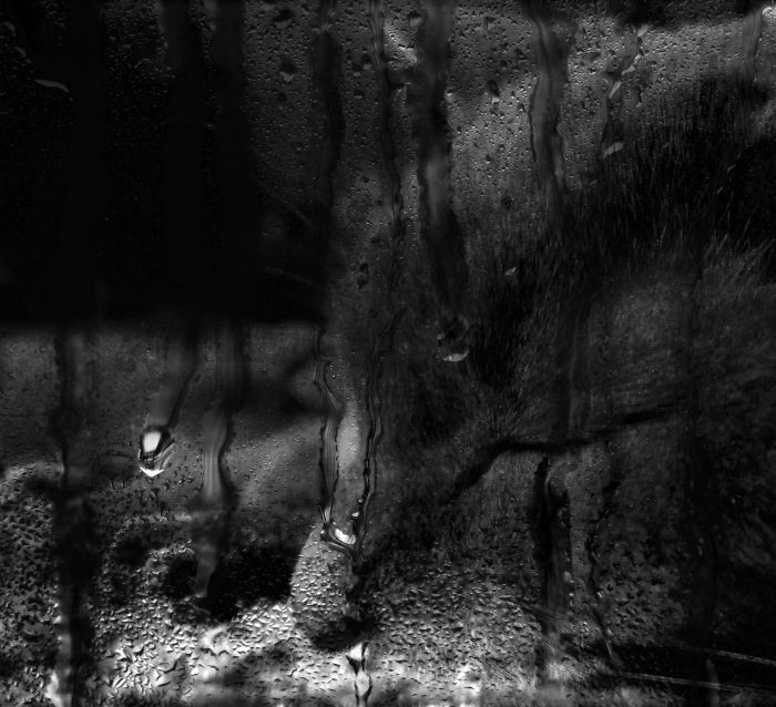 Miss Bit 17 Relaxing On A Rainy Day.