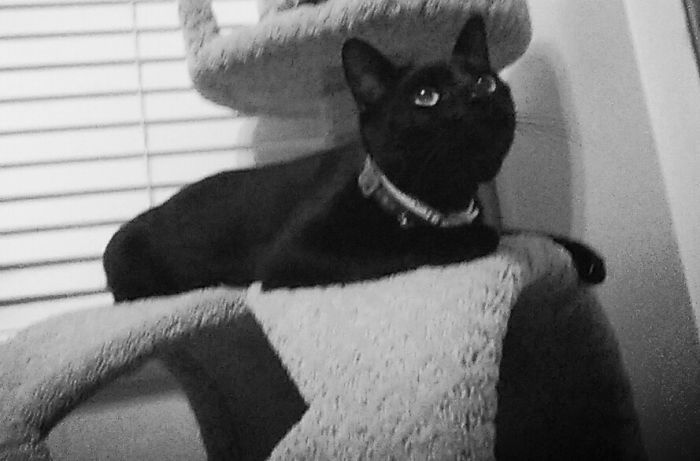 Staring Off Into The Distance.