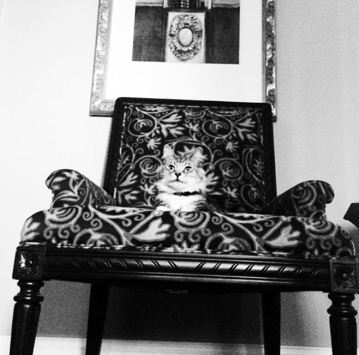 Mack. Oklahoma City, Ok