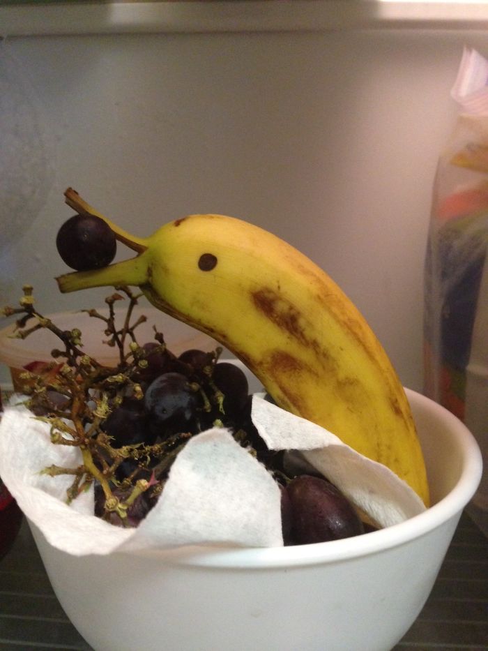 There's A Dolphin Playing In My Fridge!