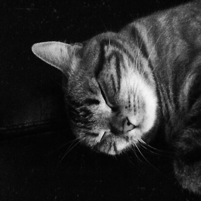 Sleeping And Happy Zoe