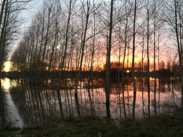 Chaniers In Charente Maritime