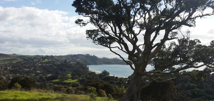 Waiheke Island