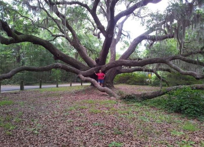 Beaufort, South Carolina