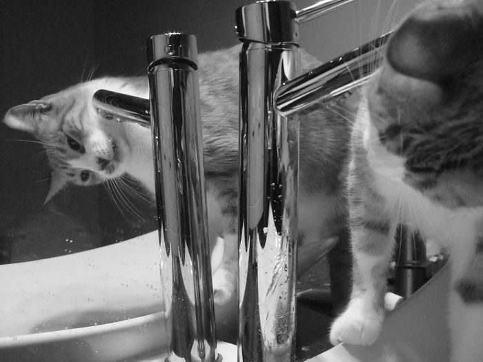 Tobias Drinking Water