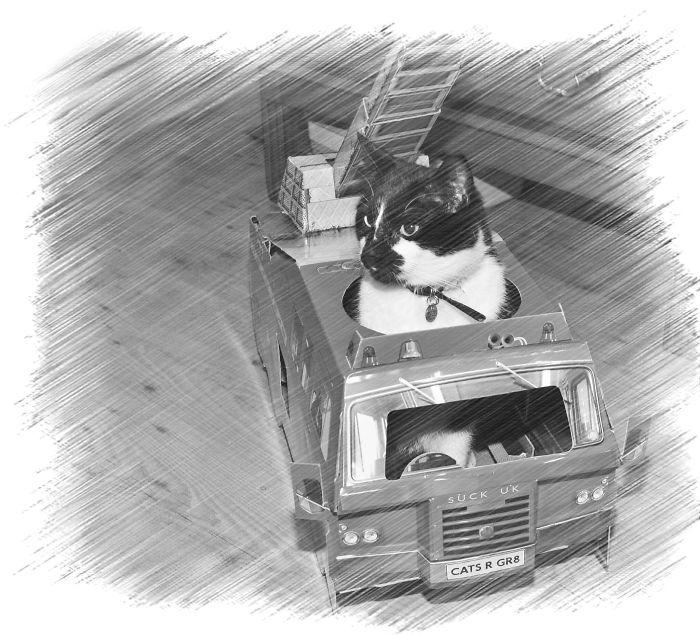 Little Alfie In His Fire Engine