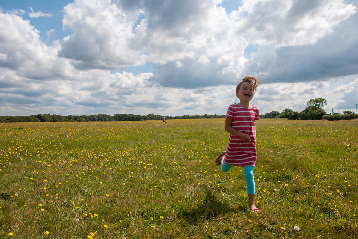 Florence In English Summer. Maidensgrove, Uk.