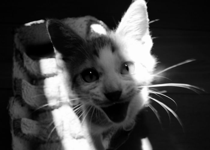 Image Credits: Bárbara Abreu