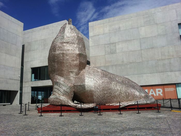Lobo Marino, Museo De Arte Contemporaneo, Mar Del Plata,argentina