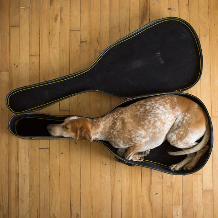 Don't Stop The Music!