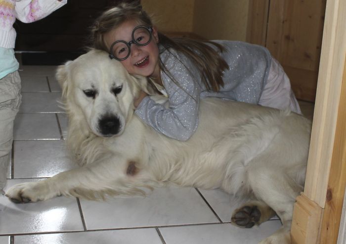 These Have Been Growing Up Together, As The Dog Was 6 Months Old When The Little Girl Was Born.