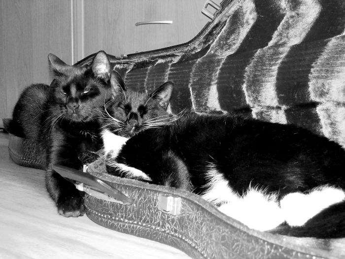 Guitar? What Guitar???