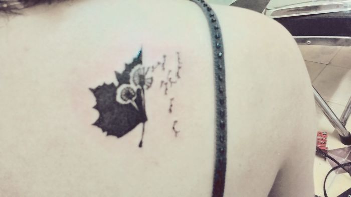 Thanks Omid Asadi For This Ideas (delicate Leaf Cuttings By Omid Asadi)! Love You So Much!!!