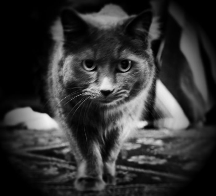 Humphrey Von Humperdink