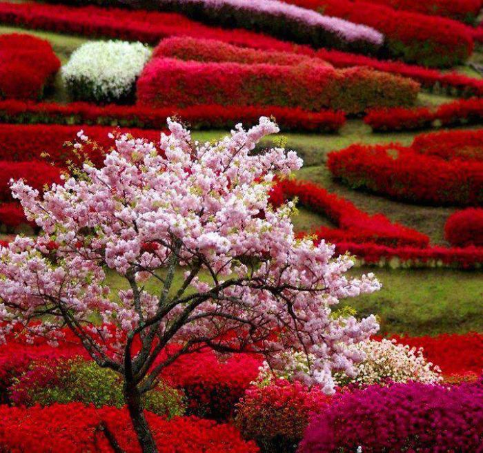 Absolutely Amazing. Very Very Beautiful.