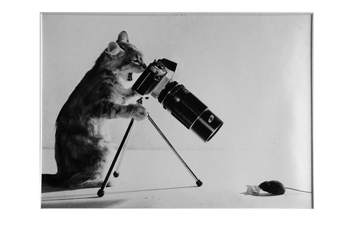 Просто нравится