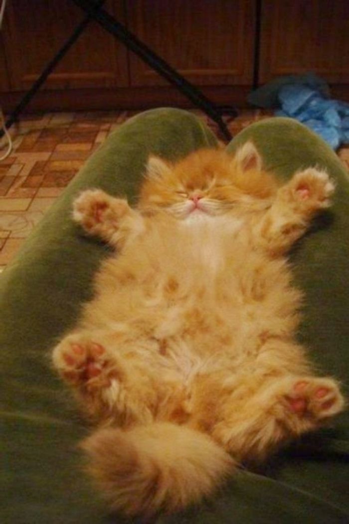 Просто нравится