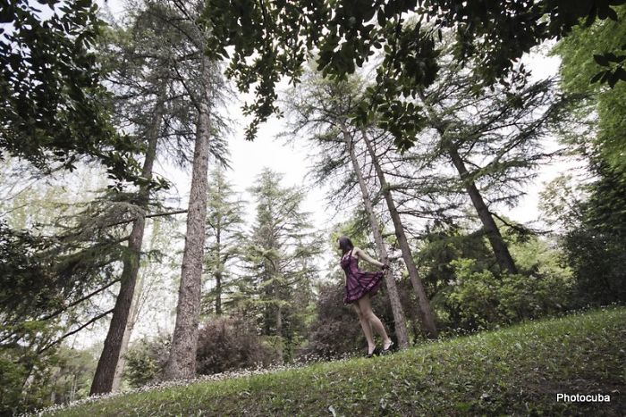 Park In Castrocaro Terme, Italy