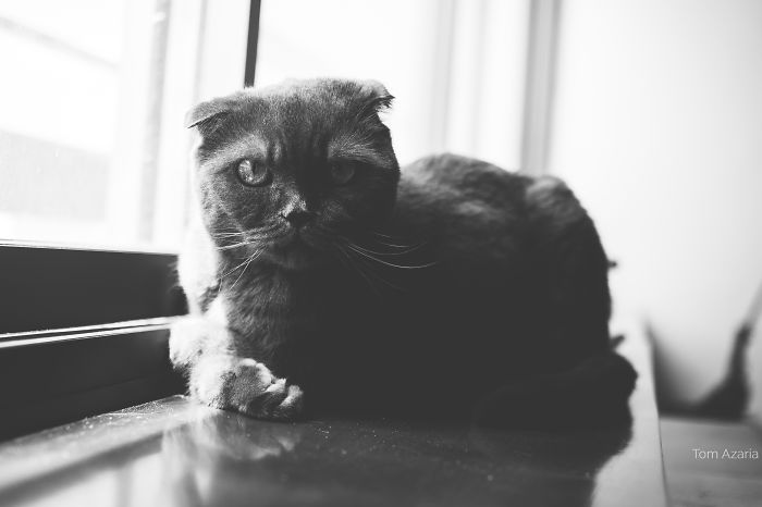 Saturday Morning, Tired Of Sleep