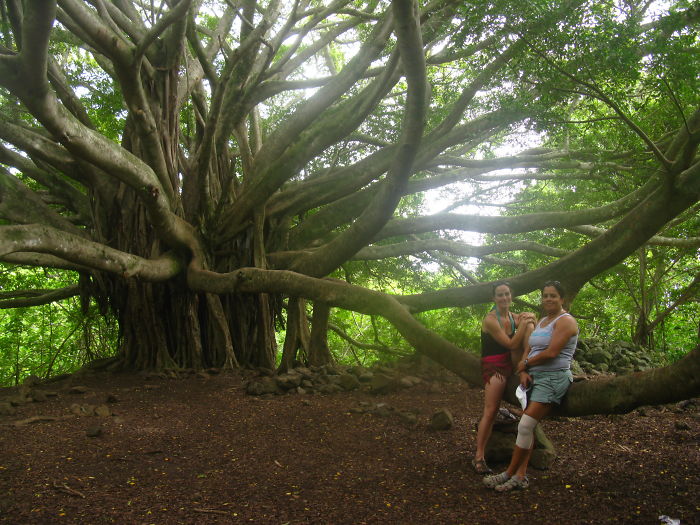 Kipahulu, Maui, Hi (2010)