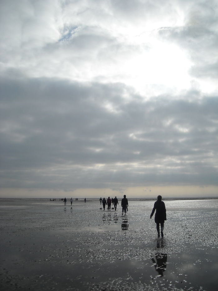 Getting Muddy In Ameland, The Netherlands