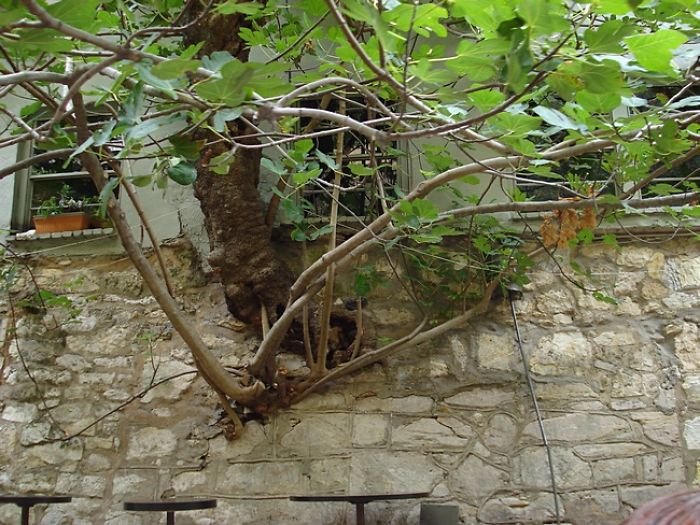San Antonio, Tx Riverwalk