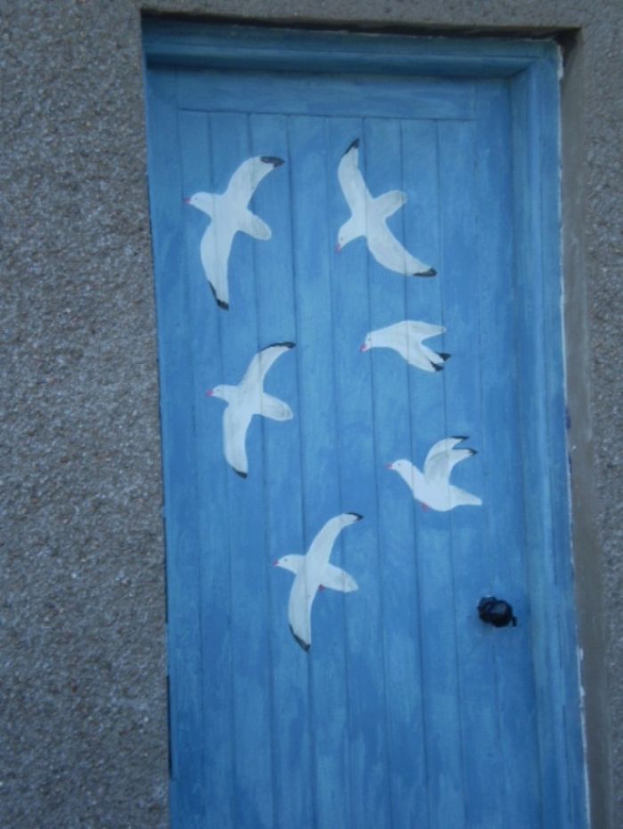 Bluebird Door