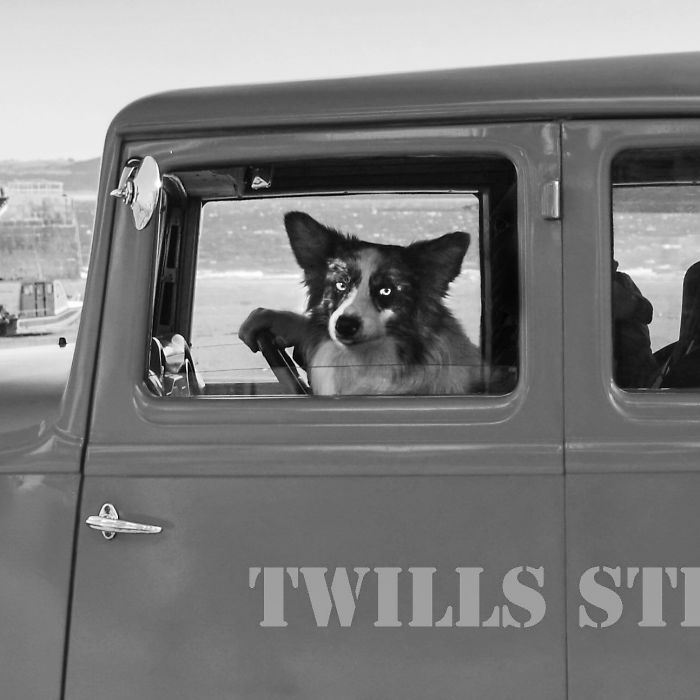 I Like Driving In My Car!