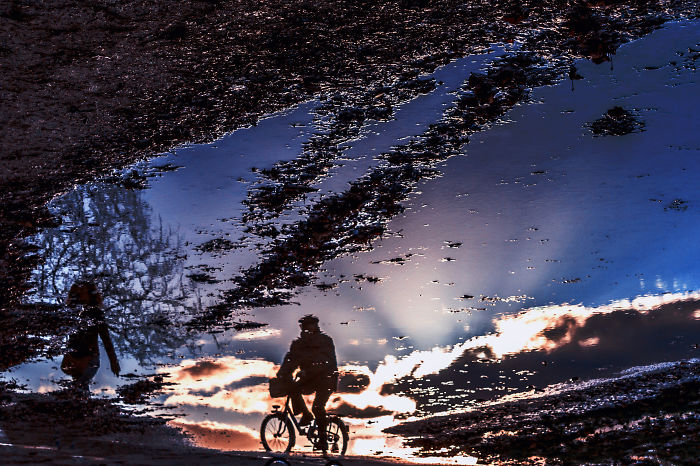 Reflection In The Puddle