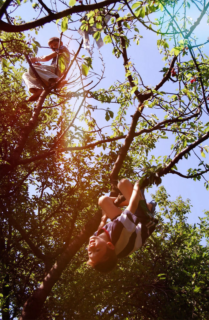 Cherry Picking By Luchit Anca Dumy